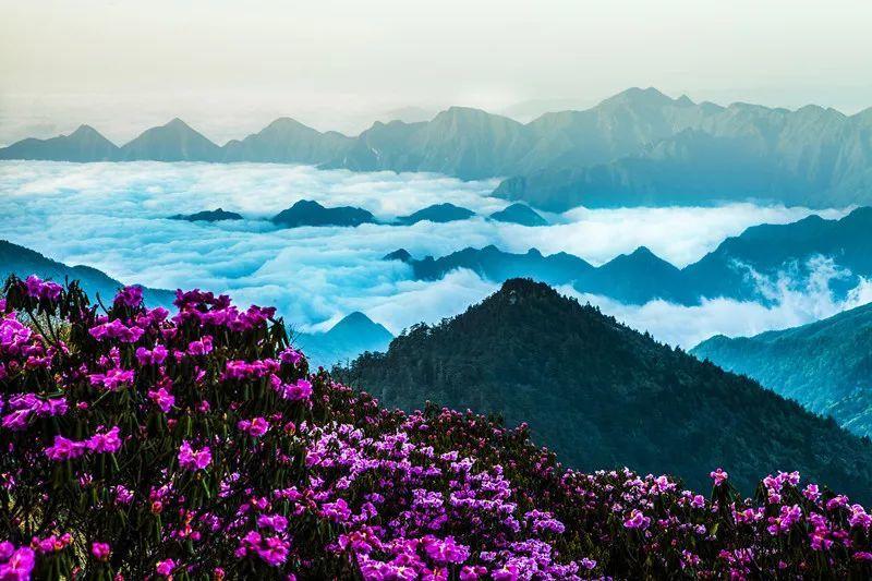 小汽车的太空梦